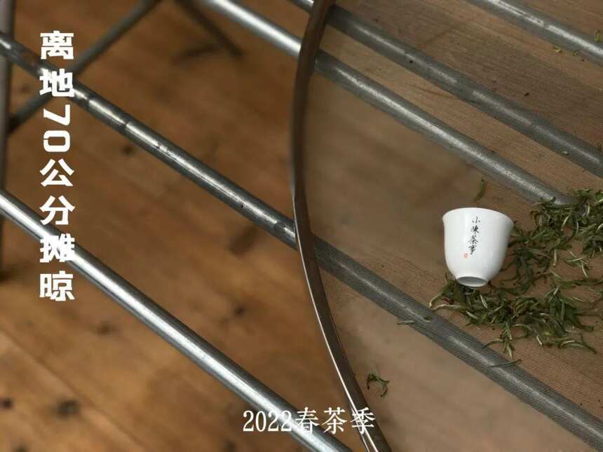 白茶涩感很重的4个原因，品质、冲泡各占2个，看看你踩了哪个坑？