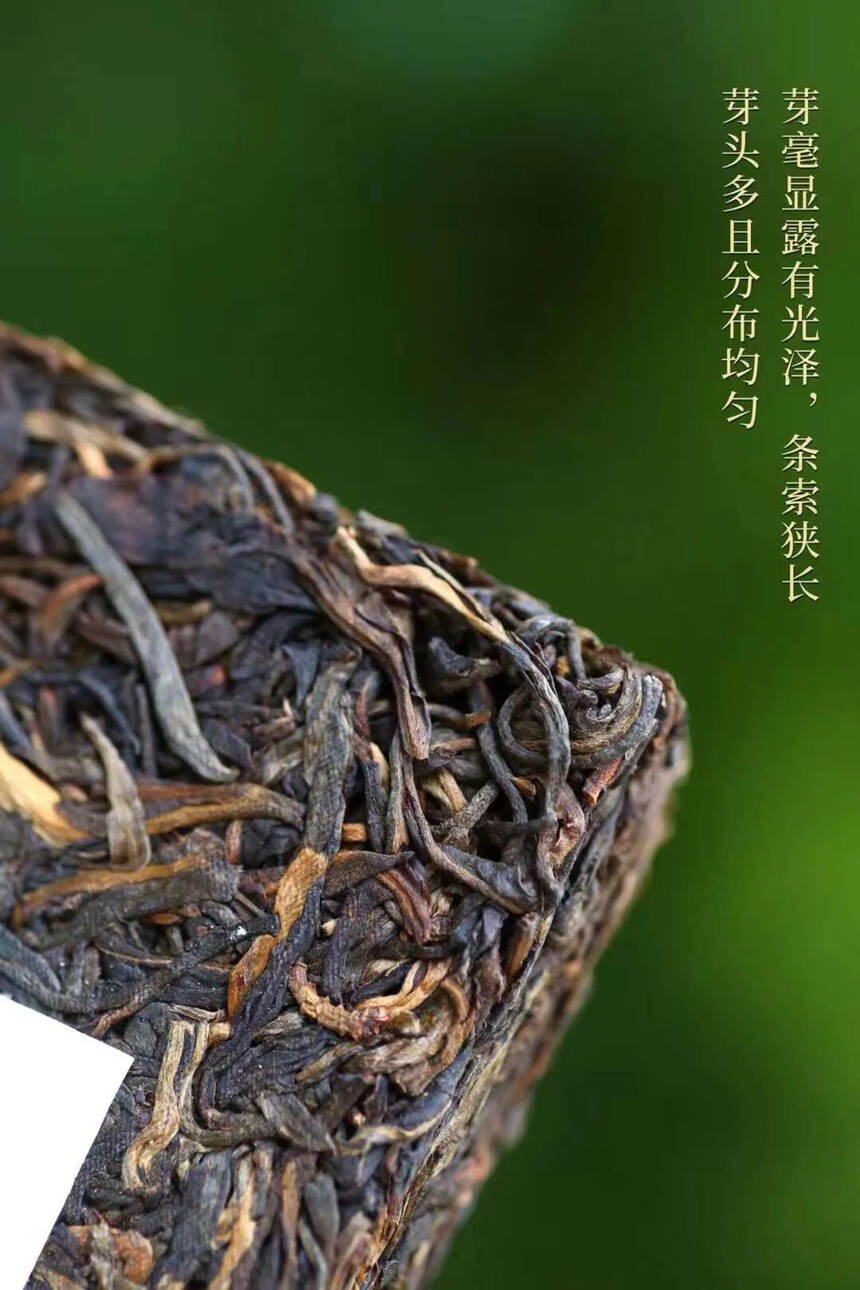 ??2002年易武茶王张毅，赏状茶王，厚实饱满，口感