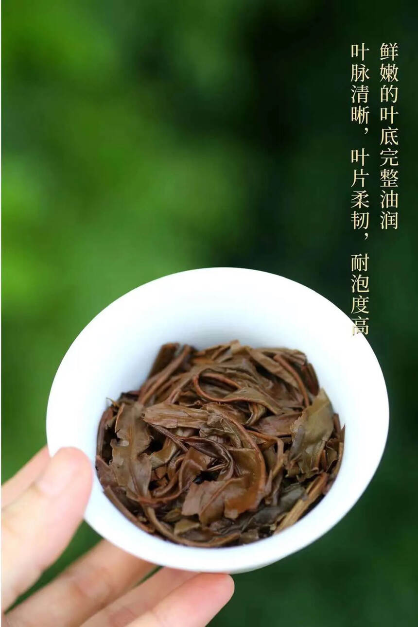 ??2002年易武茶王张毅，赏状茶王，厚实饱满，口感