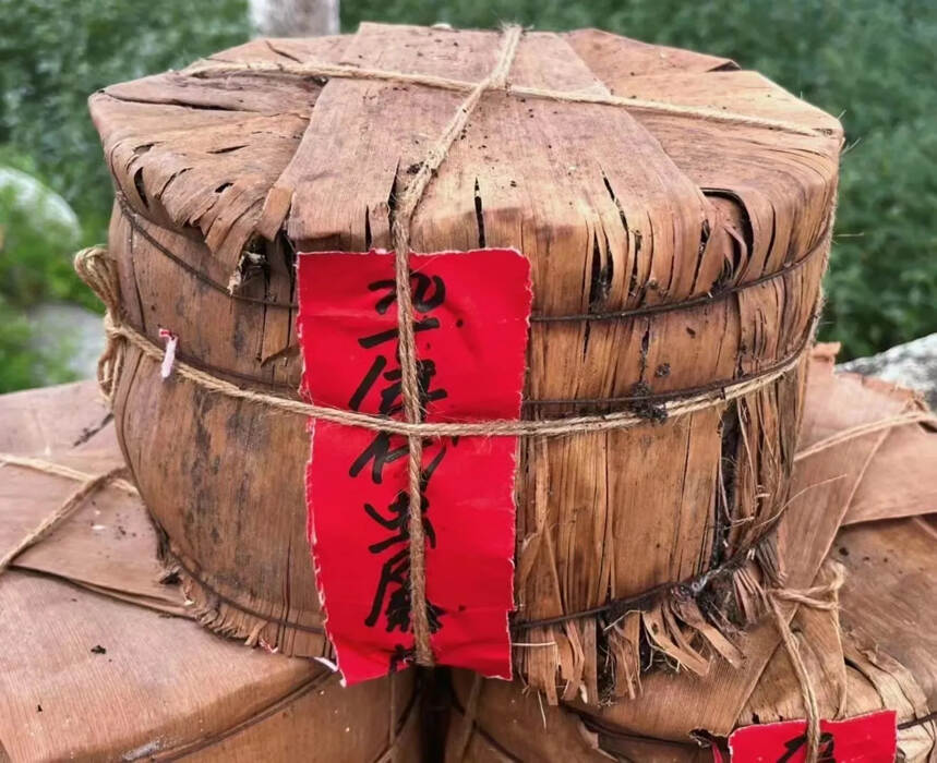 九十年代虫屎易武茶柱老生茶入口醇厚柔滑，老味十足。#