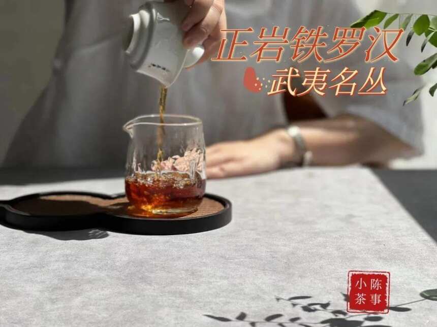 100元出头，买12泡“牛肉”,“白菜价”的牛栏坑肉桂，你敢信吗？