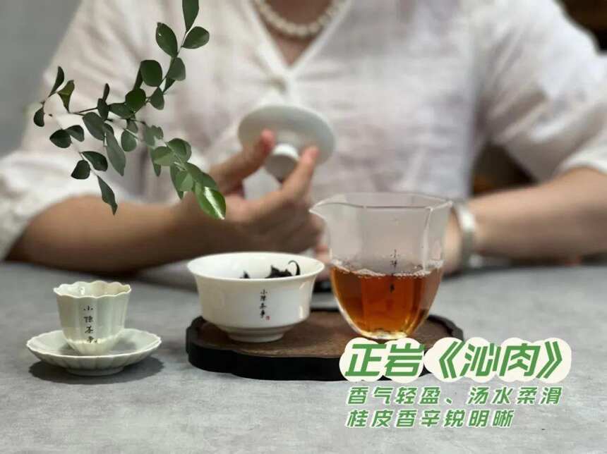 100元出头，买12泡“牛肉”,“白菜价”的牛栏坑肉桂，你敢信吗？