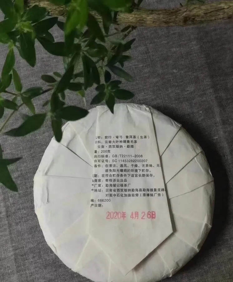 2020年古树弯弓茶条索粗壮，条索雄浑有力。 整个茶