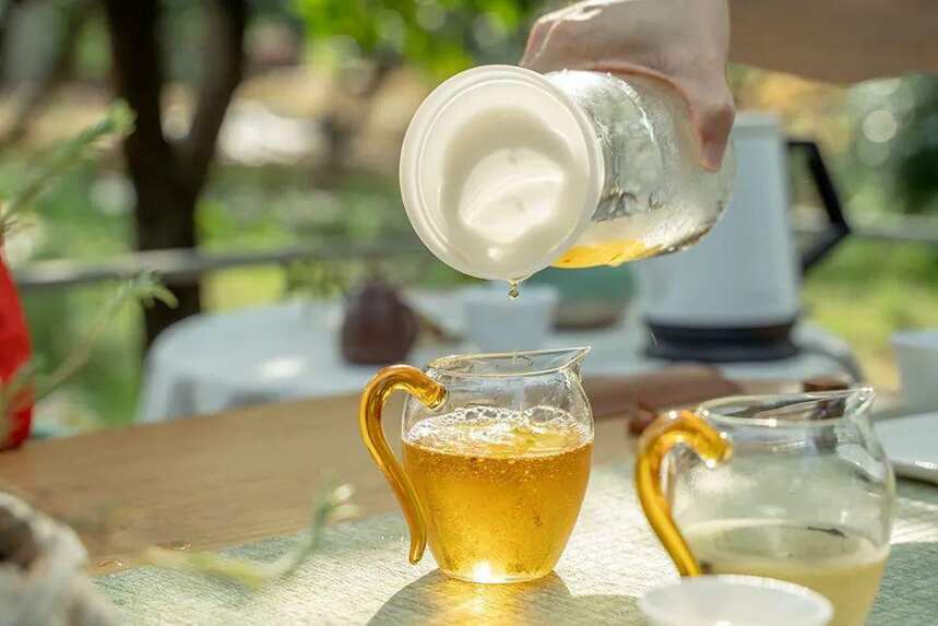 今夏爆火的“冷泡茶”，最早出现在明朝，湖北名茶已入局