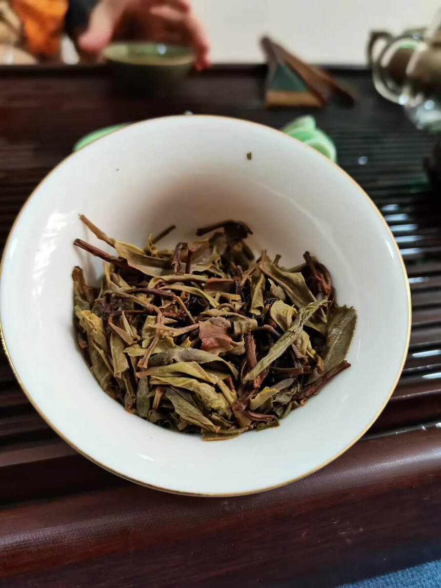 滑竹梁子坝檬，生茶#普洱茶# #广州头条# #茶生活