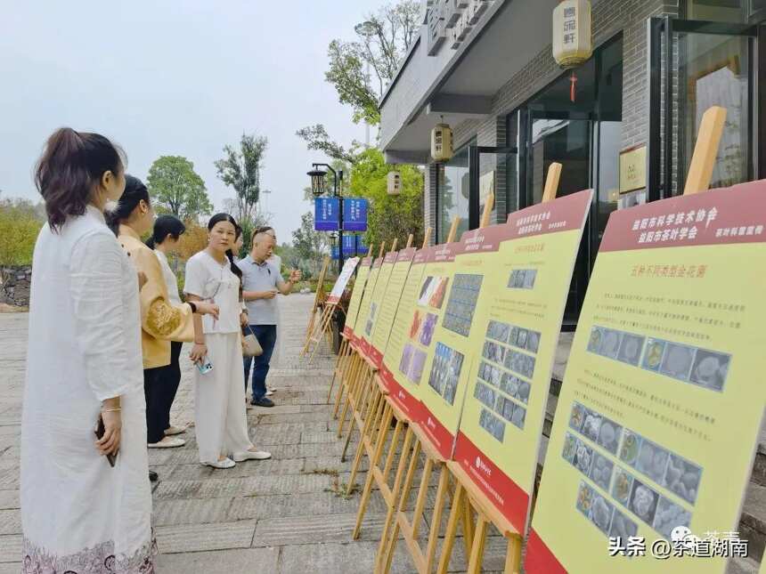 益阳市茶叶学会2022年全国科普日活动启动