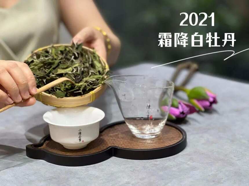 白茶、岩茶、红茶的正确茶水比例，一次性公开，看看你喝对了吗？