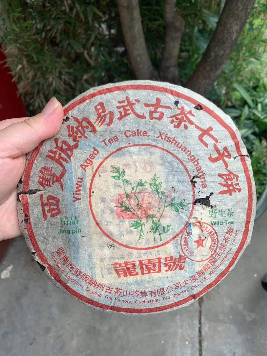 04年龙园号易武麻黑早春古茶生饼