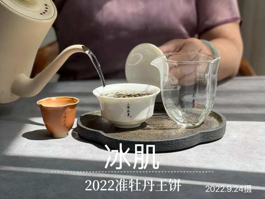 风动荷花，2022白牡丹饼《冰肌》，春茶季被忽略的一斛珠来满殿香