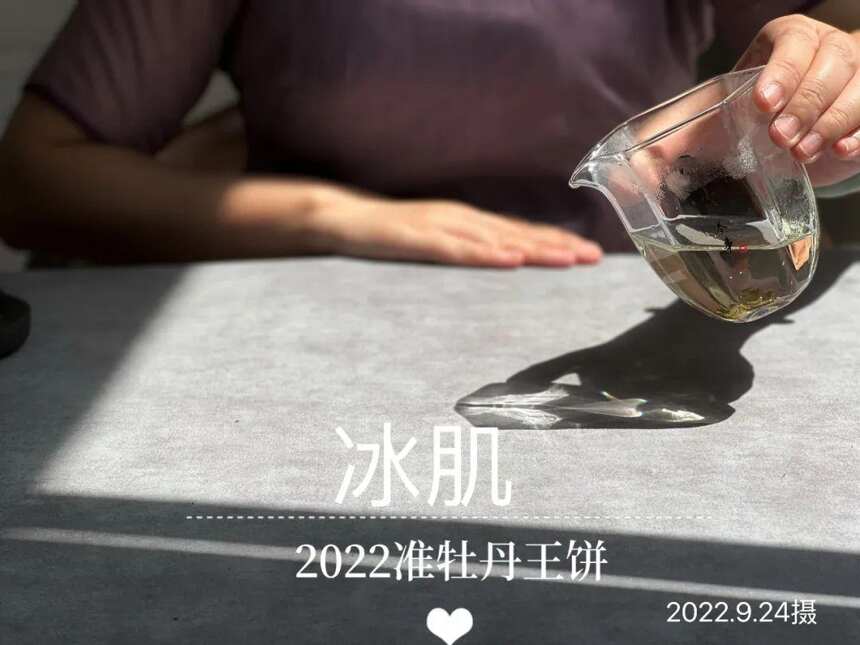 风动荷花，2022白牡丹饼《冰肌》，春茶季被忽略的一斛珠来满殿香