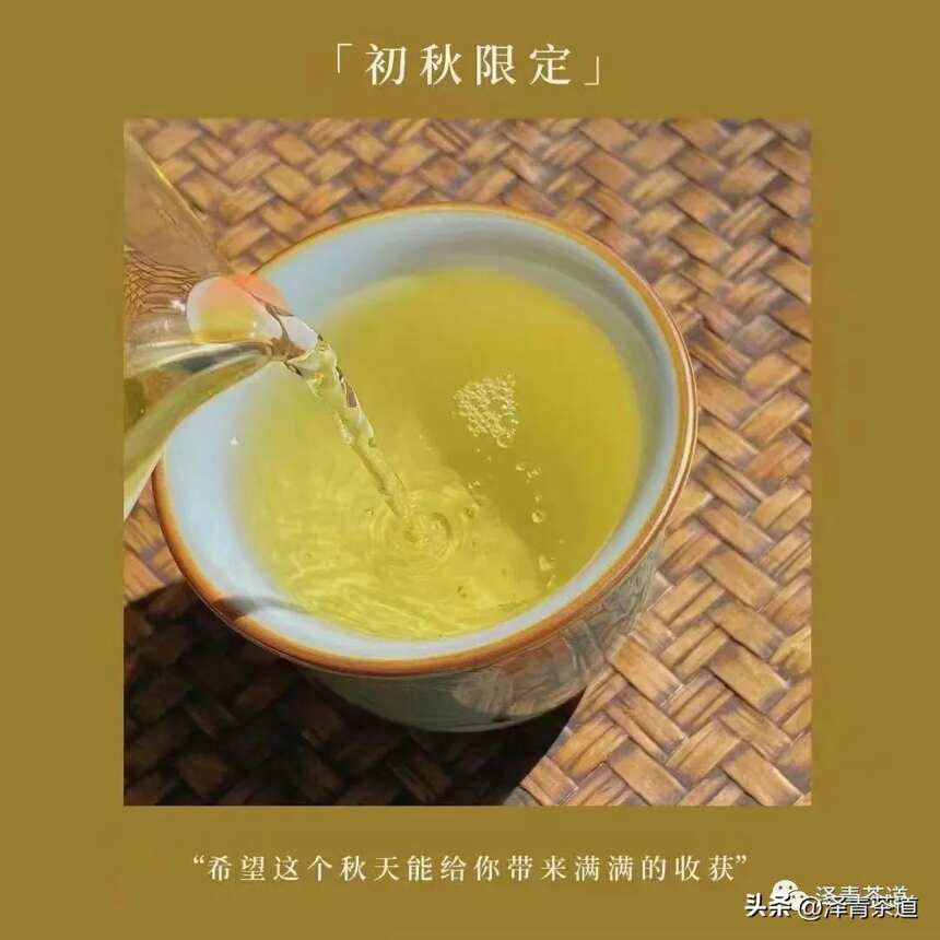 囤茶季，家中好茶如何存？不注意茶叶就毁了