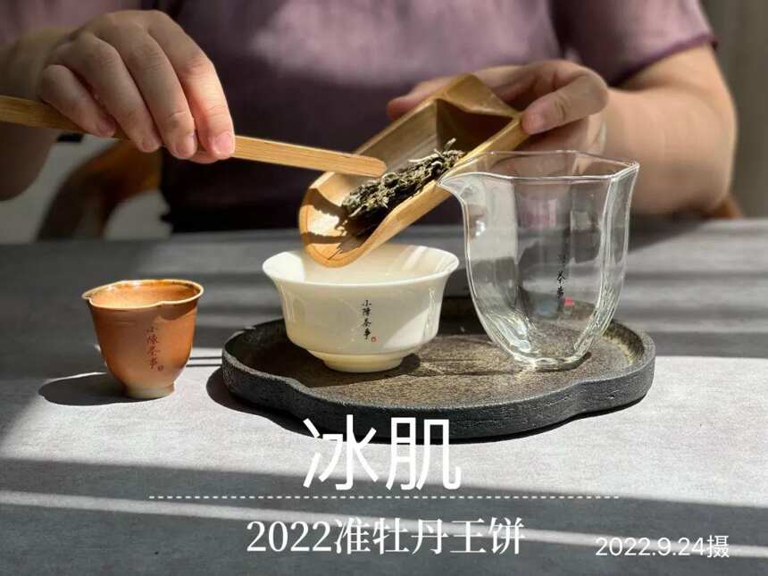 风动荷花，2022白牡丹饼《冰肌》，春茶季被忽略的一斛珠来满殿香