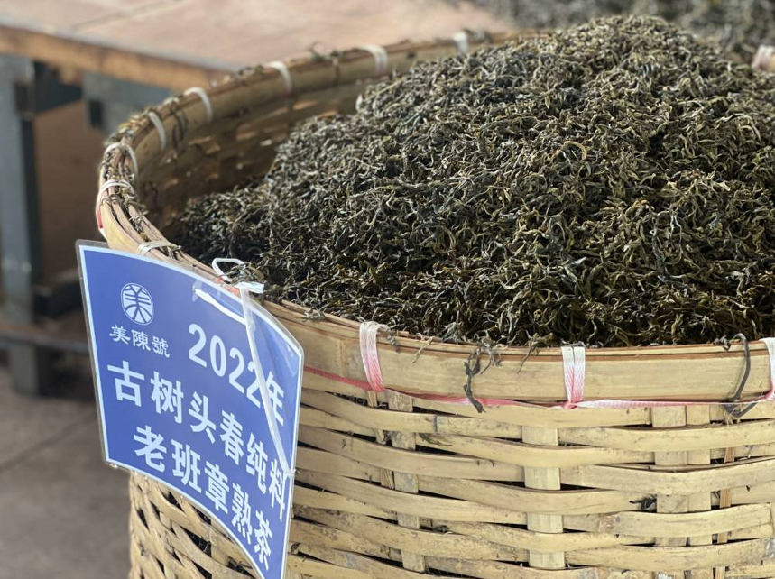 老班章古树熟茶，以茶王之姿问鼎熟茶品质高峰