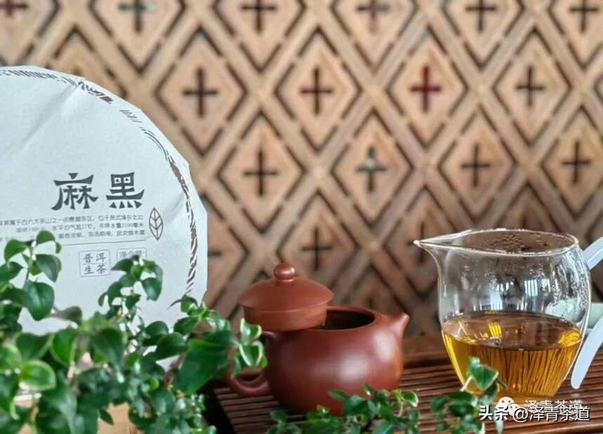 囤茶季，家中好茶如何存？不注意茶叶就毁了