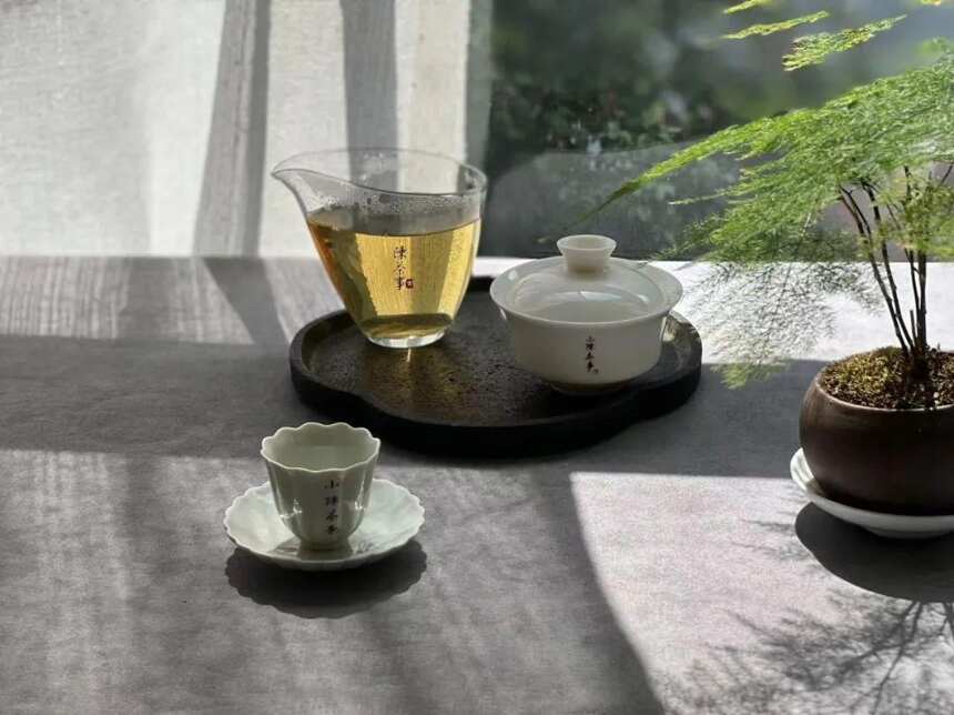 初秋，适合饮茶，给你自己来一杯白茶、红茶、岩茶、普洱茶吧