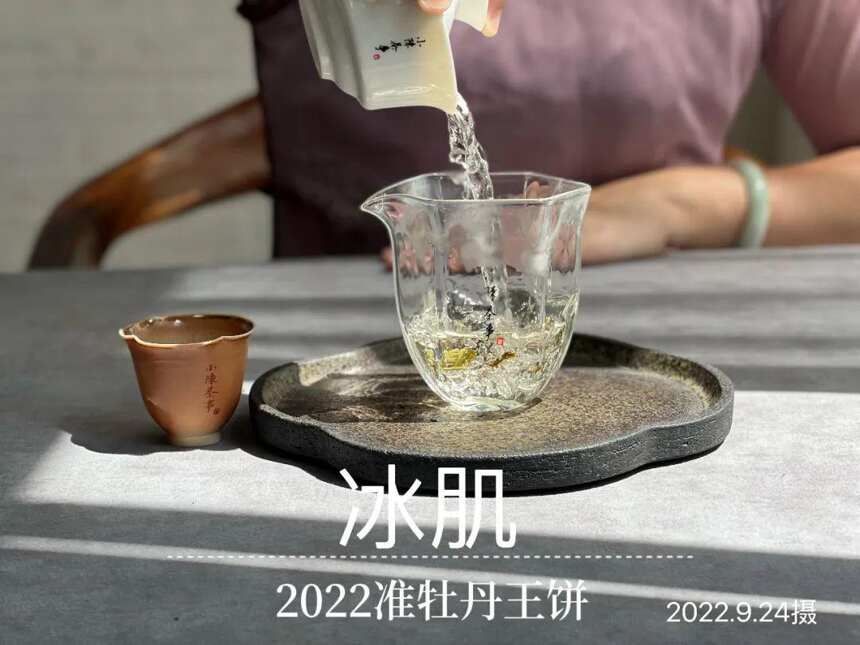 风动荷花，2022白牡丹饼《冰肌》，春茶季被忽略的一斛珠来满殿香