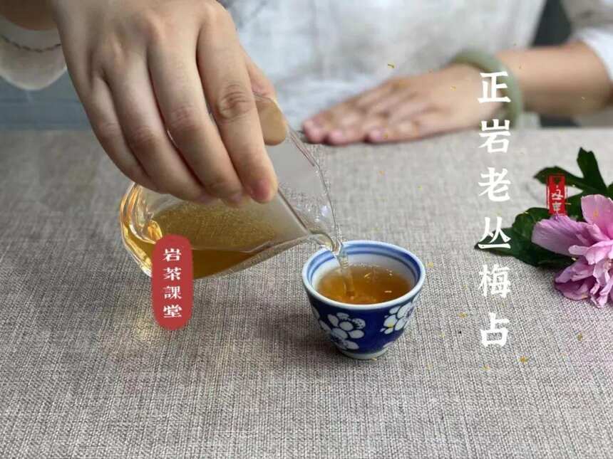 4条来自茶友的真实提问，盖碗泡岩茶，要不要“合盖锁水”？