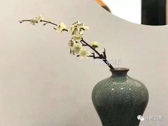 怎么将白茶越存越好？这五个细节意味深长