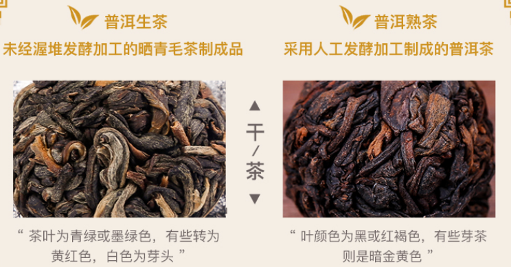 普洱生茶、熟茶的功效区别在哪里？