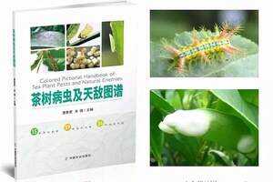 15种病害89种虫害34种天敌——茶树病虫及天敌图谱