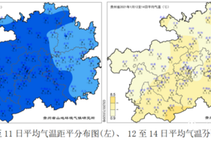 开采期茶树冻害防护措施要掌握