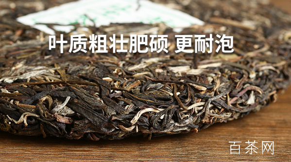 勐海七子饼茶的冲泡方法！