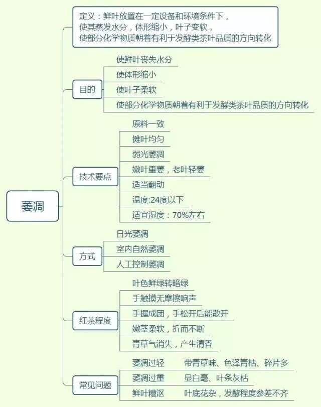 6个方面深入解析茶叶萎凋技术