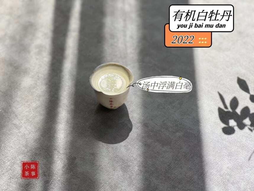 是不是越苦的白茶，回甘越明显？关于回甘的真相，一次性说清楚