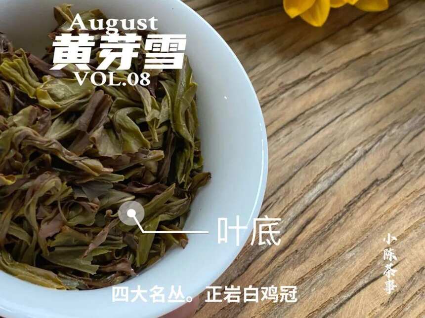 6点教你认清白茶、红茶、普洱茶的叶底秘密，选对茶，喝好茶