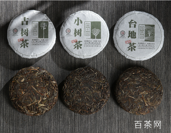 古树茶与台地茶的几大区别？