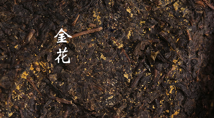 金花茯砖茶是什么茶？金花茯砖茶属于黑茶吗？