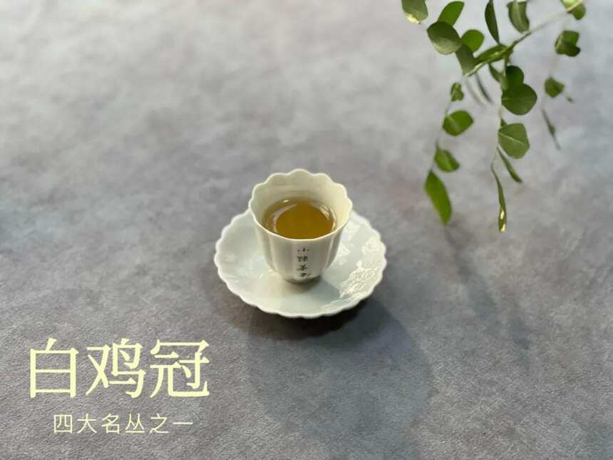 武夷岩茶的第一冲茶汤，为什么不是很清透？4个角度带你拨开谜团