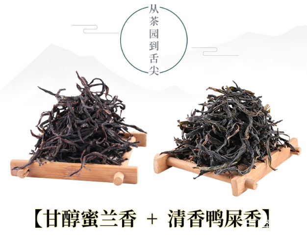 凤凰单丛茶蜜兰香和鸭屎香的区别？