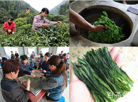 太平猴魁制作工艺流程详解