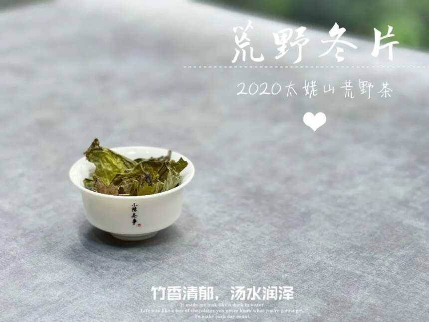 入秋后，老白茶怎么煮才好喝？别急，高手分享了4个诀窍