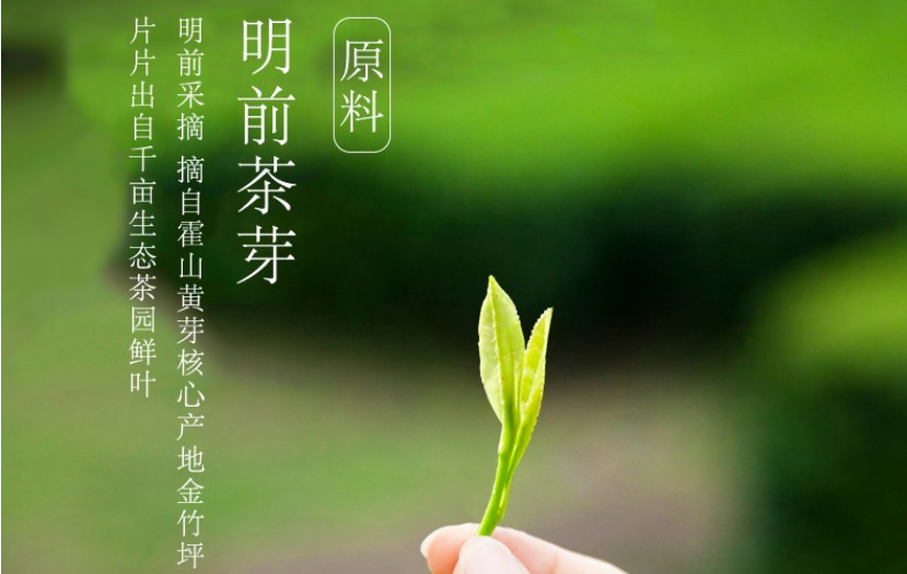 平阳黄汤茶功效作用