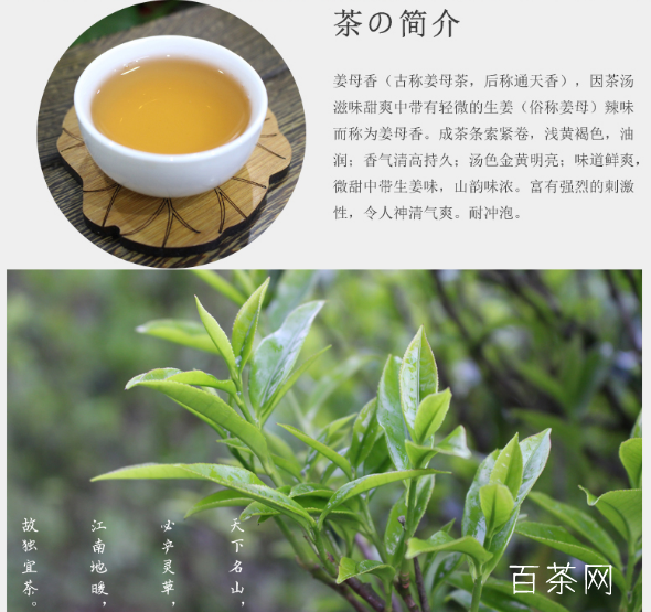 凤凰单丛（枞）茶之姜花香型