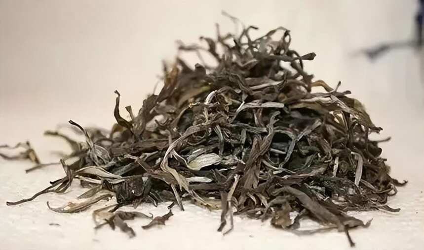 普洱茶的散茶，到底好不好？