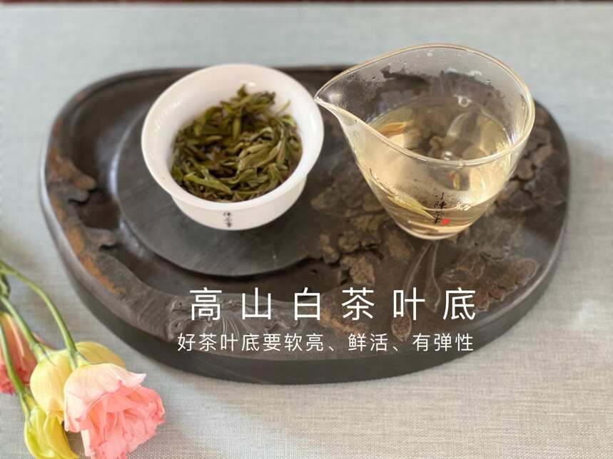 6点教你认清白茶、红茶、普洱茶的叶底秘密，选对茶，喝好茶