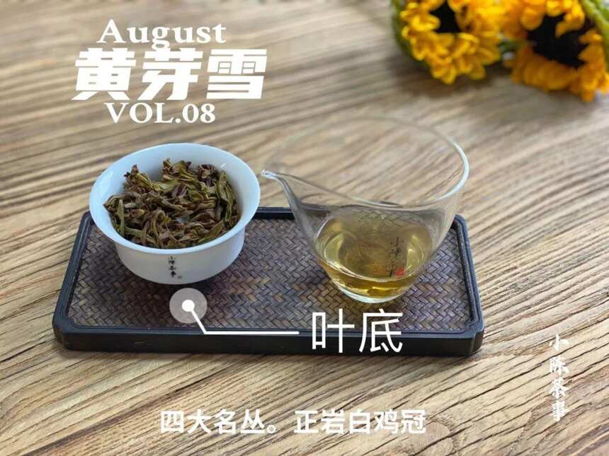 6点教你认清白茶、红茶、普洱茶的叶底秘密，选对茶，喝好茶