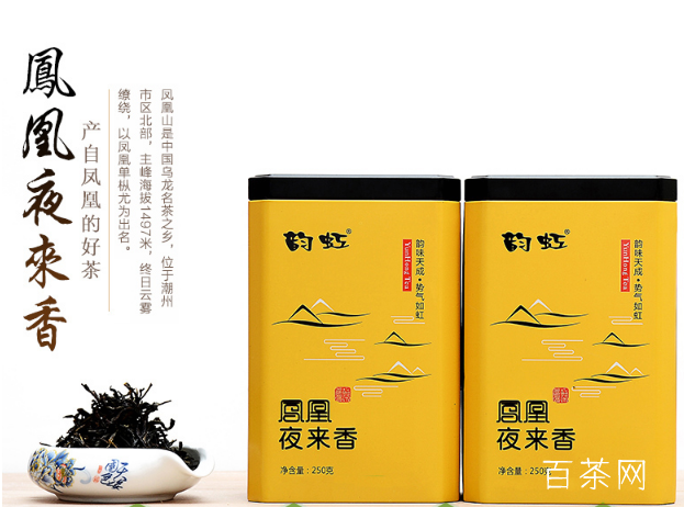 凤凰单丛（枞）茶之夜来香型