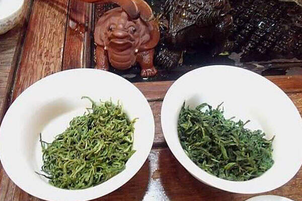 桂平西山茶介绍，桂平西山茶功效