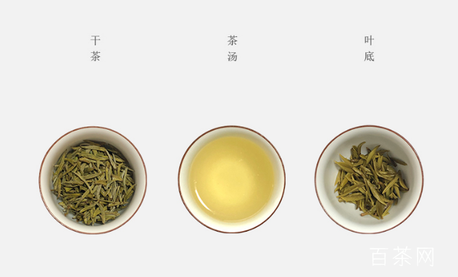 平阳黄汤茶介绍