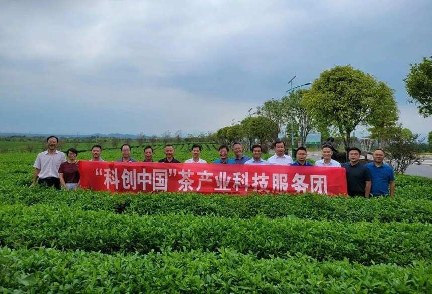 茶资讯 |“科创中国”茶产业科技服务团助力咸宁茶业高质量发展