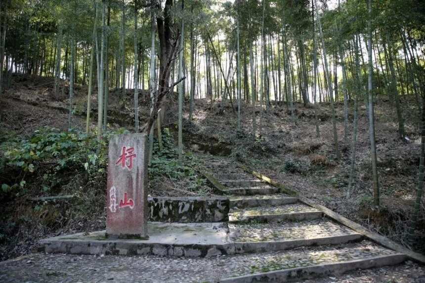 茶之圣地：湖州