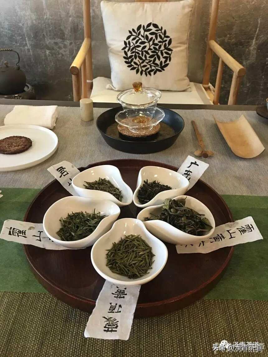 中国十大名茶，最全泡法