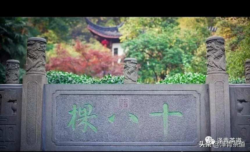 中国十大名茶，最全泡法