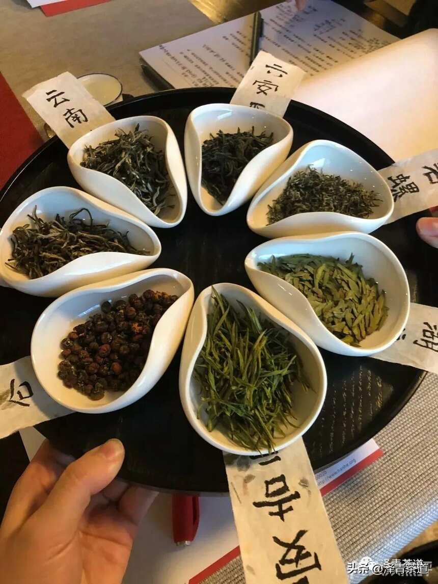 中国十大名茶，最全泡法