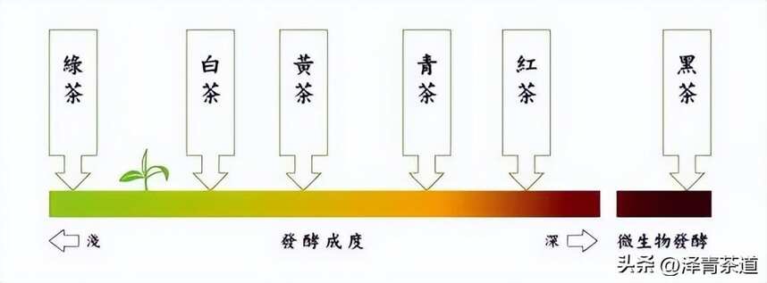 六大茶类详解及冲泡指南