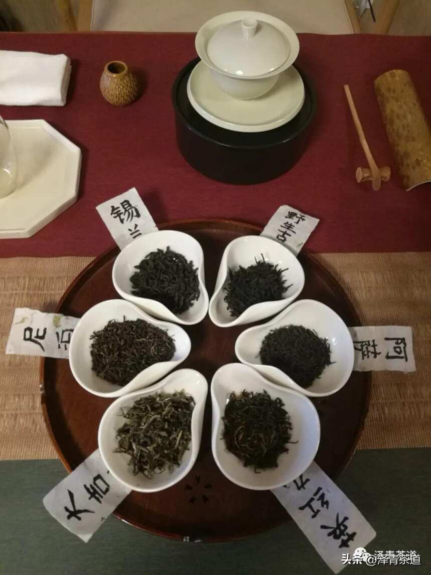 中国十大名茶，最全泡法